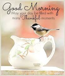 We did not find results for: Thankful Thursday Simply Cornish