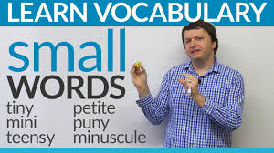 What are another words for also? Improve Your Vocabulary Synonyms For Small In English Youtube
