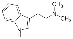 It is considered as a psychedelic like lsd or magic. Dimethyltryptamin Wikipedia