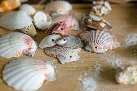 Dies habe ich mit einer großen nadel gemacht (kleiner brechen), aber irgendwie ist die idee nicht wirklich effektiv. Diy Ein Windspiel Aus Muscheln Diy Inspirationen Baby Kind Und Meer