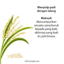 Bagai bulan jatuh ke riba. Wxq8g0obzxvjlm