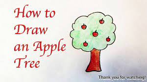 It is a deciduous tree and this tree is cultivated all over the world. Drawing For Kids How To Draw An Apple Tree Youtube