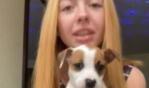 Mississippi girl, 19, arrested after having sex with a dog and twerking  with pup | US | News | Express.co.uk