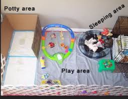 How to potty train a puppy. Used Puppy Apartment Thread Puppy Apartment Has Anyone Used This Good Idea Or Bad Dog Playpen Puppy Room Potty Training Puppy