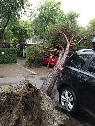 De tornado veroorzaakte schade en gewonden. Eindhovens Gezin Getroffen Door Noodweer Bij Venetie Foto Ed Nl