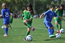 In this article, we discuss the highest paying sports primary duties: More Valuable Than A Doctor Football Administrator Pay In Spotlight But Salaries Remain A Mystery Abc News