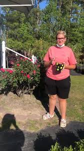 1,364 likes · 2 talking about this · 112 were here. Mcqueen S Nursery Landscaping Inc Home Facebook