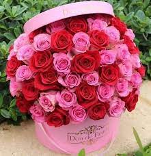 Check spelling or type a new query. Specially For U I Love Beautiful Flowers Facebook