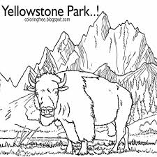 Free worksheets for kindergarten to grade 5 kids. Free Coloring Pages Printable Pictures To Color Kids Drawing Ideas Printable Yellowstone Park Coloring American Wildlife Kids Drawings
