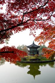 For now, the safest (and smartest) way to visit faraway escapes might still be via your phone or computer. South Korea Travel Guide