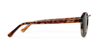 Image result for Mellera nyassana