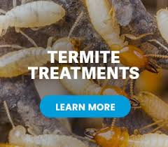 This professional pest control electric thermal fogger by smith performance sprayers lives up to my expectations. Termite Control And Extermination Services By Jd Smith Of Central Florida