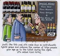Pino More Wine Wine Drinking Quotes Wines