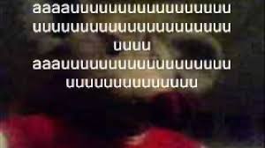 Resultado de imagem para auuuuuuuuu