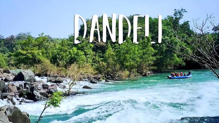 Kali River and dense forest in Dandeli Wildlife Sanctuary