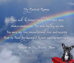 We did not find results for: Pet Memorial Beautiful Calligraphy