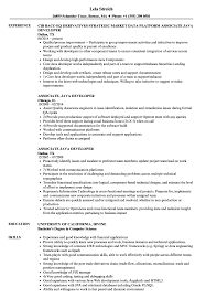 Associate Java Developer Resume Samples Velvet Jobs