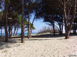 Encuentra y reserva alojamientos únicos en airbnb. Sardinien Sardafit Information San Giovanni Sardafit Ferienhauser Auf Sardinien