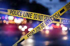 LAURA ELIZABETH JUSTISS MICHAEL DAVID ZEHR