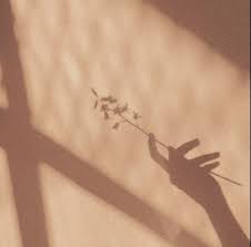 Flower Aesthetic Flowers Tumblr Theme Sun Hand Https Weheartit Com Entry 324966802 Beige Aesthetic Flower Aesthetic Aesthetic Wallpapers