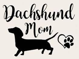 Download Dachshund Decal Dachshund Sticker Dachshund Car Decal Etsy Dachshund Cricut Animals Car Decals
