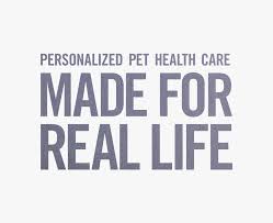 Vca Careclub Apache Junction Az Vca Apache Junction Animal Hospital