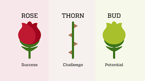 Thorn is one of australia's leading financial service providers, offering a broad range of financial solutions to meet a growing demand from niche consumer and commercial markets. Rose Thorn Bud Activity For Group Presentations Life Design Log