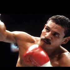 ボクシング エドウィン・ロサリオ 33試合8枚DVD の通販 by レナードファン｜ラクマ