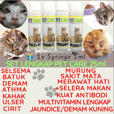 Petua untuk melegakan batuk dan selsema via sihatzone.blogspot.com. Cara Merawat Kucing Demam Kuning