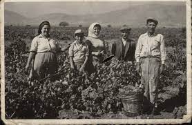 Maybe you would like to learn more about one of these? 3 T Qhslfprn0m