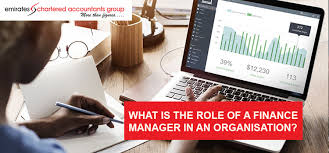 Use our career test report to get your career on track and keep it there. Role Of Finance Manager In An Organization