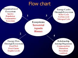 Ecosystem Model Ppt Video Online Download