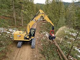 @fivethirtyeight's politics team, gone rogue. 538 Forest Machine Cat Caterpillar