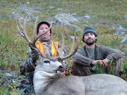 Is your state not represented? Montana Mule Deer Hunts Montana Deer Hunting