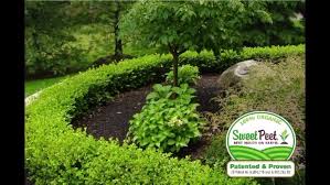 Maybe you would like to learn more about one of these? Sweetpeet The All Purpose Sweet Peet Organic Mulch