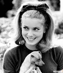 Most guys are affected by it, even if they don't identify it consciously as that important. 12 Hairspray Ideas 1960s Hair Vintage Hairstyles Retro Hairstyles