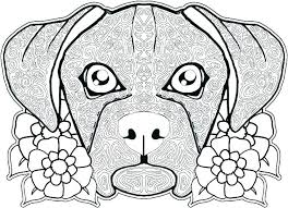 Brindle, fawn, white (prone to deafness in either one or both the ears) with markings of fawn, brindle, white as well as a black mask. Realistic Dog And Cat Coloring Pages