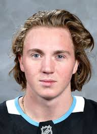 Player photos for the 2020-21 U.S. National Development Team at hockeydb.com