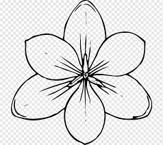 Son uno de los obsequios mas apreciados a la hora de querer expresar nuestros sentimientos de amor, perdón, gratitud, etc…. Libro Para Colorear Flores Para Ninos Libro Para Colorear Flores Para Ninos Casa Nautica N Blanco Nino Hoja Png Pngwing