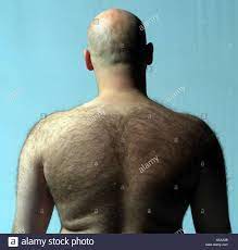 Mann Kahlen Kopf Den Oberkorper Frei Wieder Haare Mann 30 40 Jahre Schultern Rucken Haare Wachsen Haare Korperhaare Haar Stark Mannlich Ansicht Von Hinten Stockfotografie Alamy