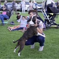 Profile for Loyal Dude with Hajni Peter