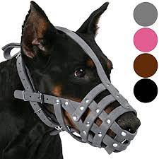 Am anfang versuchte er es oft, ihn von seiner schnauze abzuschieben, aber es hatte dann bald nachgelassen, weil er merkte dass es nicht funktionierte. Collardirect Maulkorb Fur Hunde Leder Dobermann Deutscher Schaferhund Dalmatiner Mittlere Und Grosse Rassen Pink Grau M Schwarz Amazon De Haustier