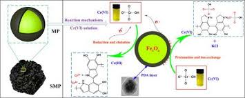 Check spelling or type a new query. Enhanced Reduction And In Situ Stabilization Of Cr Vi By Fe3o4 Polydopamine Magnetic Microspheres Embedded In Sludge Based Carbonaceous Matrix Applied Surface Science X Mol