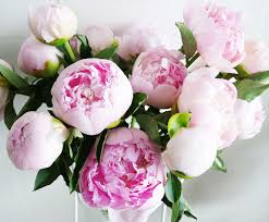 Wedding flowers are our passion and every bride has a different dream. 10 Of The Best Wedding Flowers And When They Re In Season Your Home And Garden