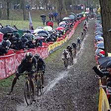 Lucinda brand wint in het tsjechische tabor voor twee andere nederlandse veldrijdsters. Citadelcross Wikipedia