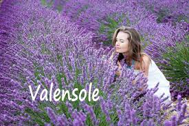 Valensole A Visiter 04 Provence 7