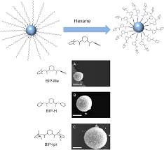 Tuning three-dimensional nano-assembly in the mesoscale via  bis(imino)pyridine molecular functionalization