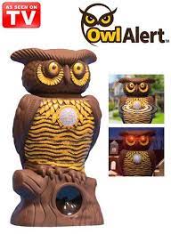 The trail cameral footage doesn't lie. Owl Alert Amerimark