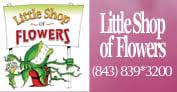 Brighten someone's day with beautiful flowers, personalized gifts & more. Myrtle Beach Florist Flower Delivery By Little Shop Of Flowers