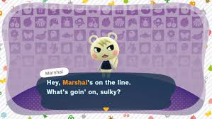Cookie is a hot pink dog, with a white stripe that starts from the top of her head and goes down to encircle her muzzle. Animal Crossing New Horizons Switch Amiibo Guide Polygon